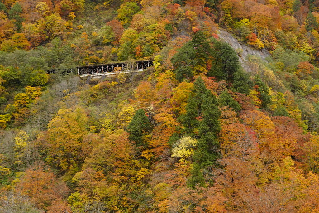 紅葉に埋もれる旧道