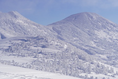 樹氷原