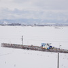 冬の田んぼアート駅