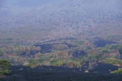 岩手山焼走り溶岩流1