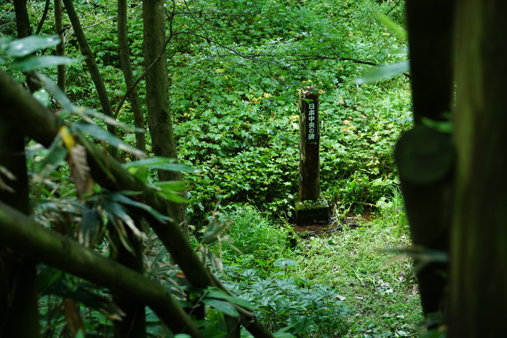 森のなかにある日本中央