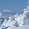 樹氷にならぶ岩木山