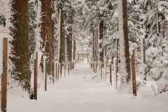 雪　神社　参道