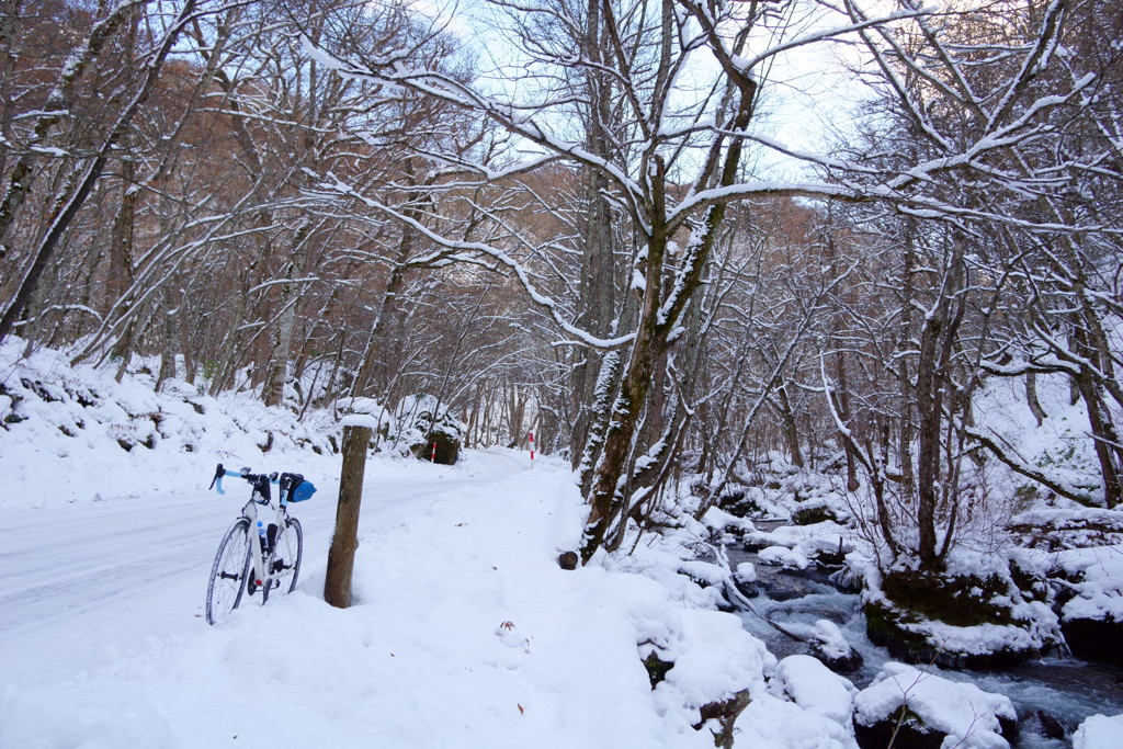 奥入瀬雪中行軍