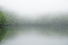 霧の蔦沼