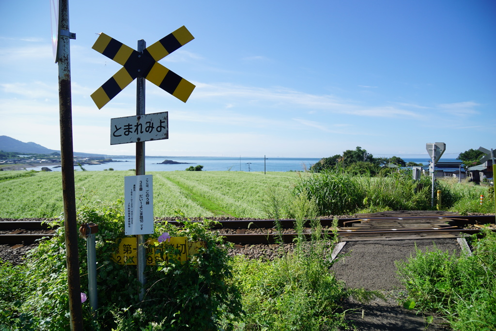 とまれみよ、あっちは海