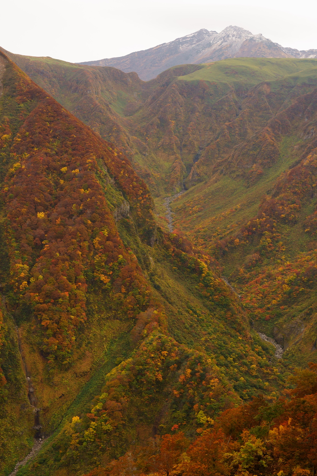 鳥海山　紅葉1