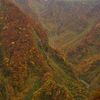 鳥海山　紅葉1