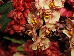 ミュージアムの花