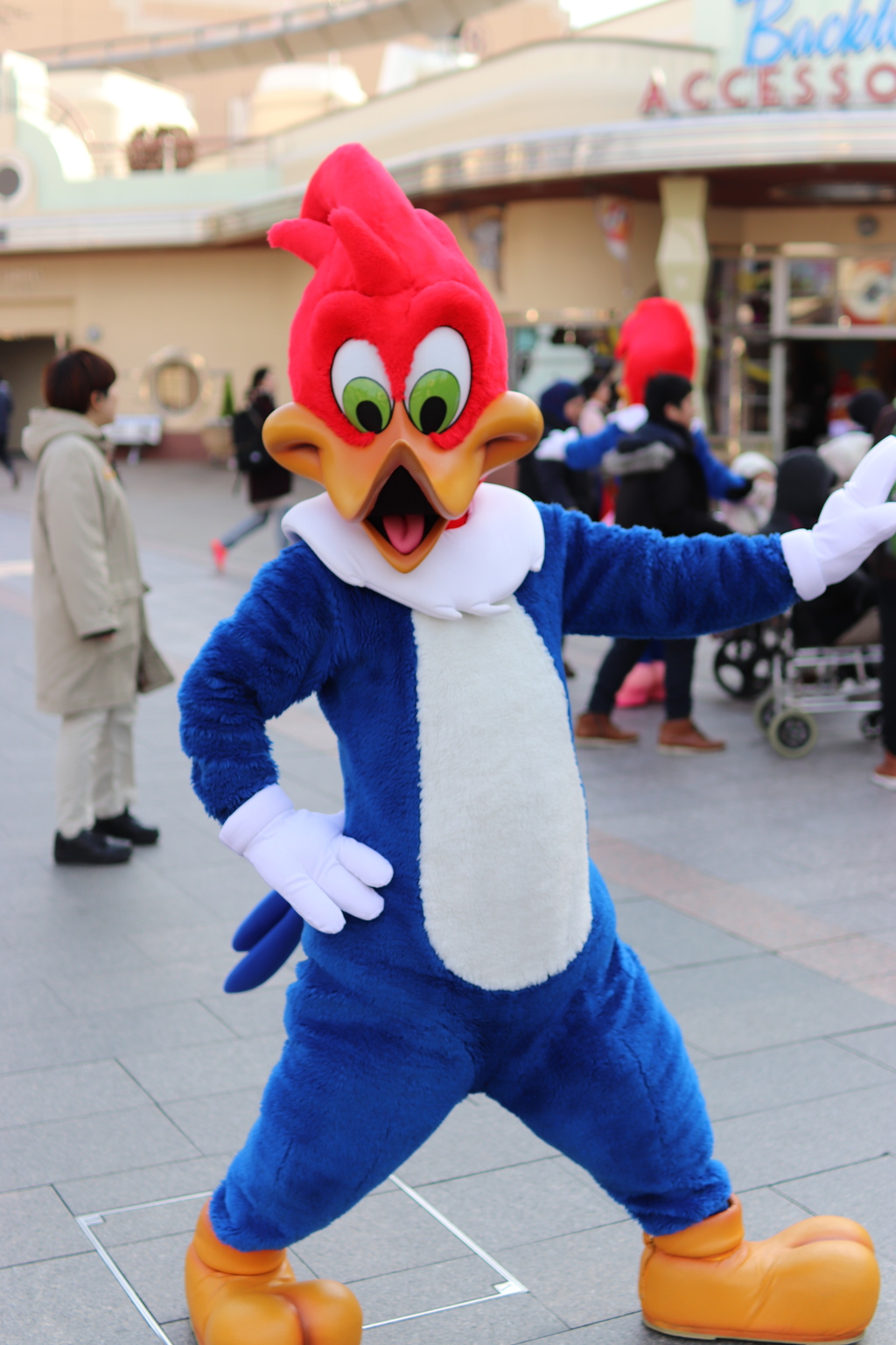 ウッディウッドペッカー