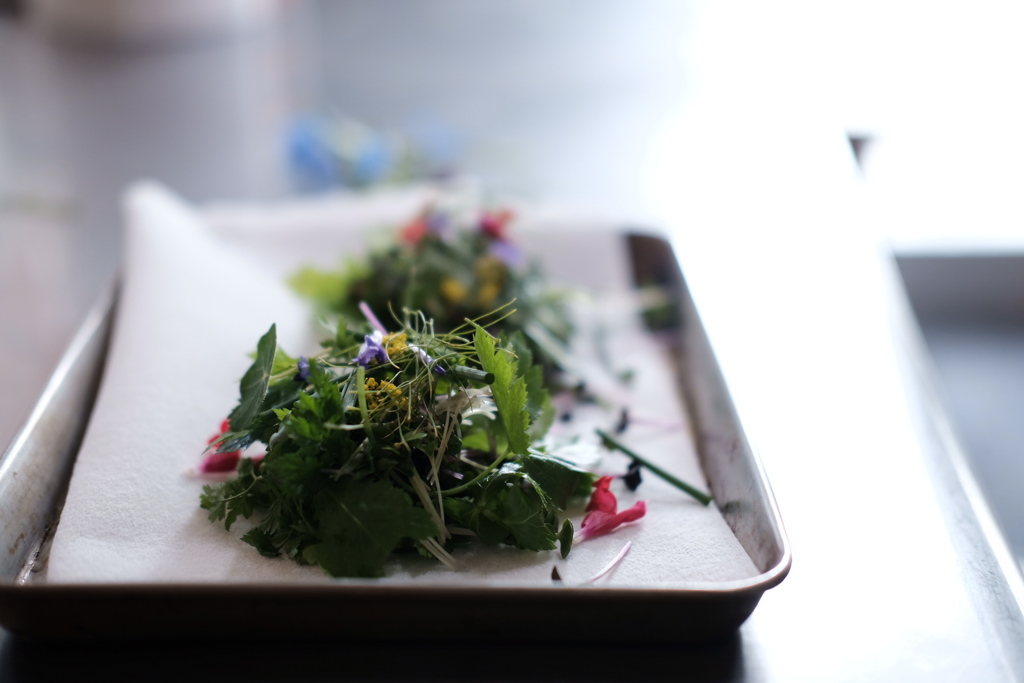 herbes d'automne