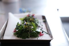 herbes d'automne
