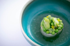 ombre chevalier/pois