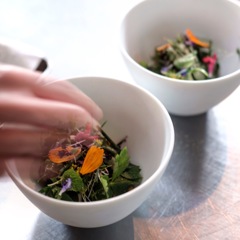 herbes d'automne