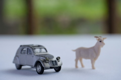Goat & 2cv6