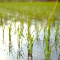 B2B23CDB-CB65-4E0C-B89C-A605F252D141