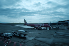 shizuoka airport