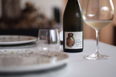 opnner chardonnay