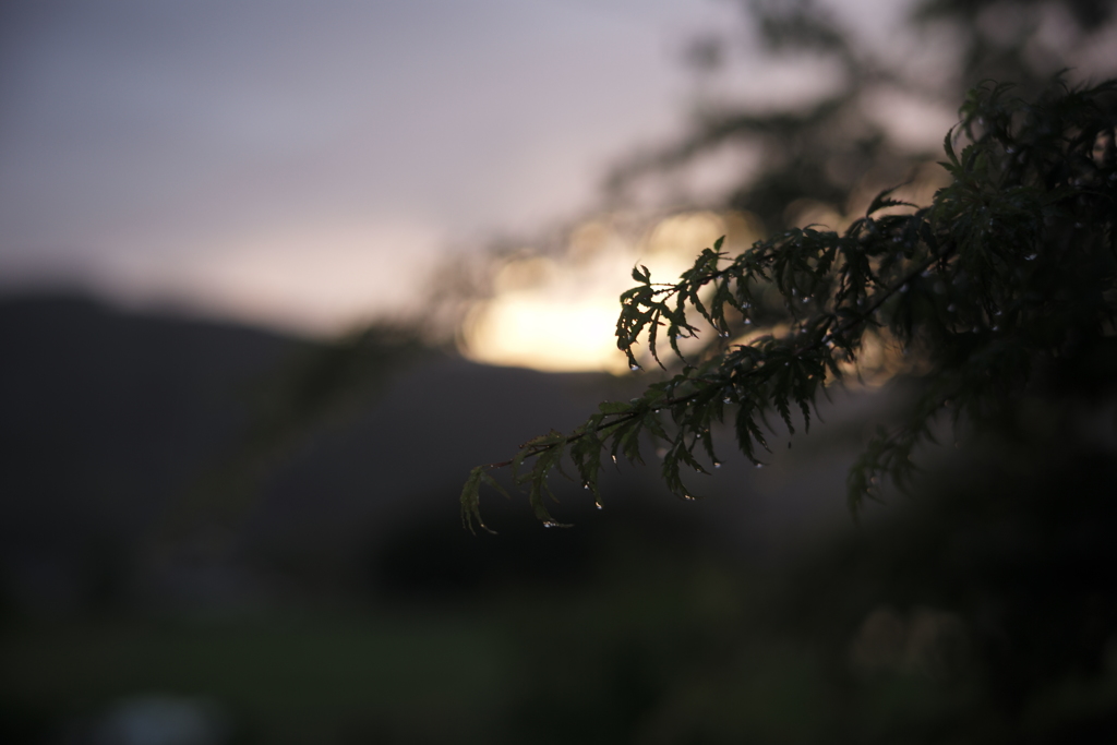 Coucher de soleil pluvieux