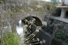 narutaki-machi in nagasaki