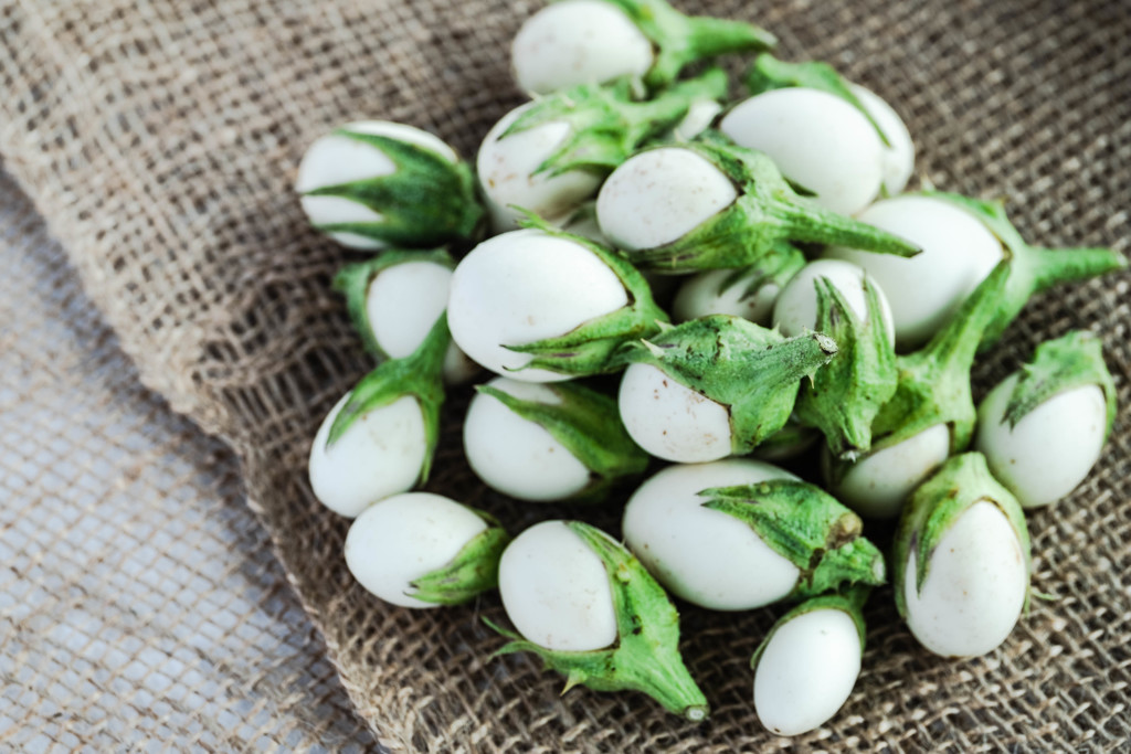 egg plant