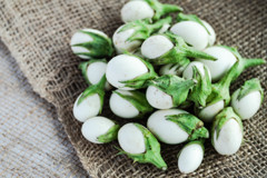egg plant