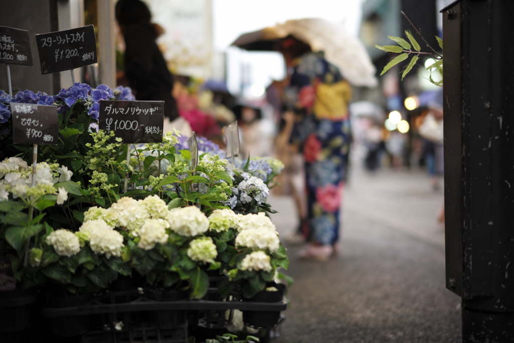 kamakura