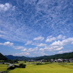 short trip