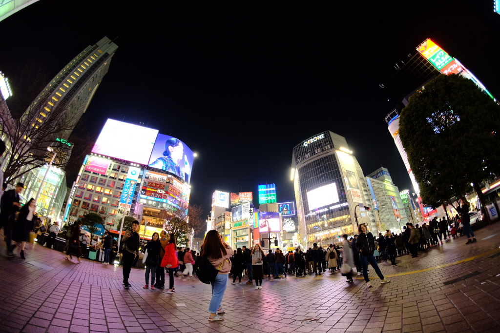 shibuya crossing