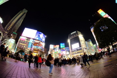 shibuya crossing