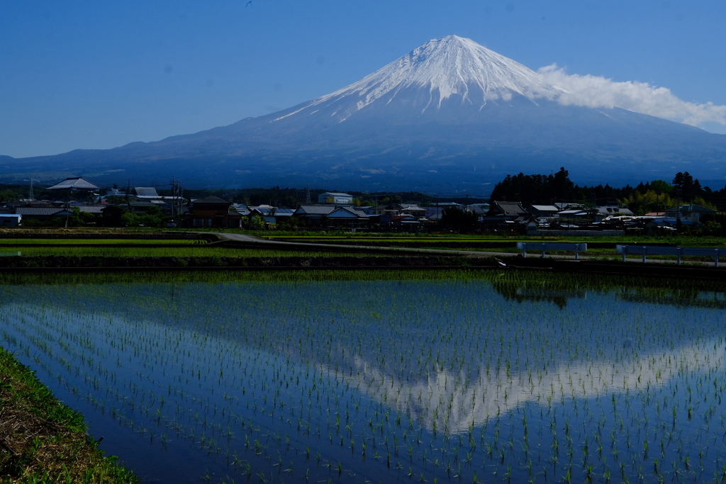 Mt.Fuji