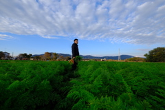 hisamatsu farm