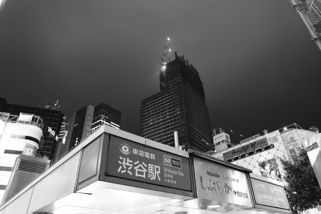 shibuya station