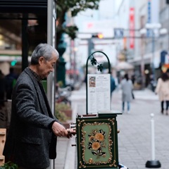 shizuoka city