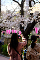 meguro river
