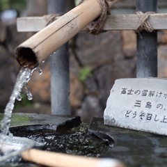 0F585DDD-DD9F-4727-BD7D-D9E6265E3BF4