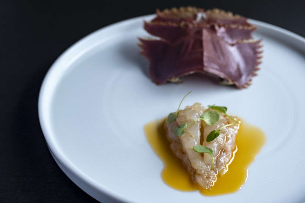 cigale de mer