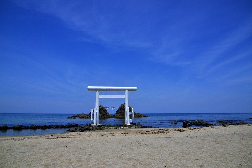 白い鳥居