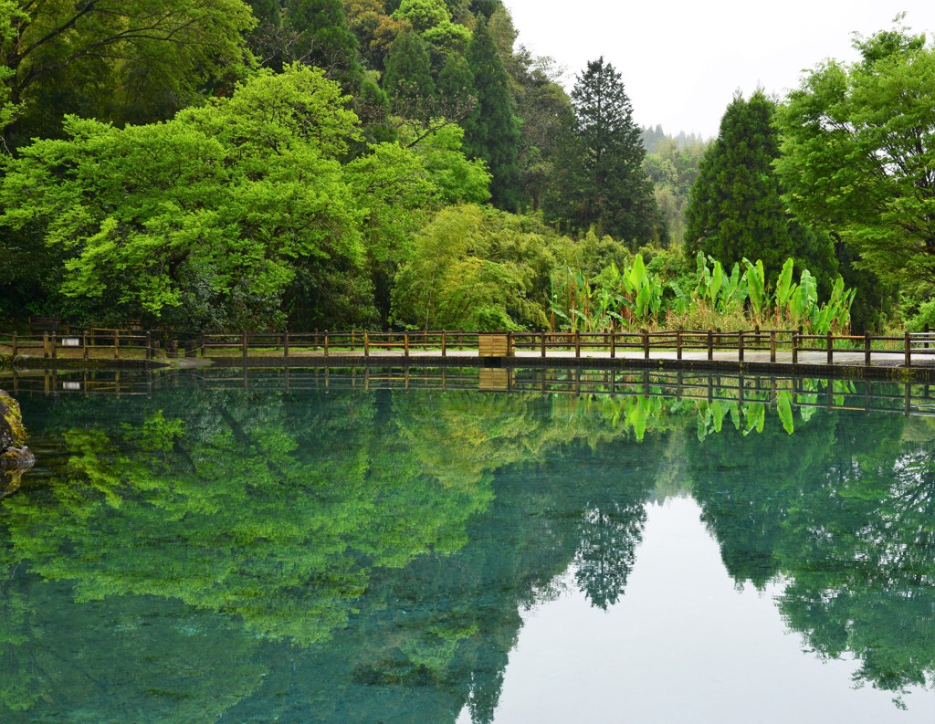 湧水池