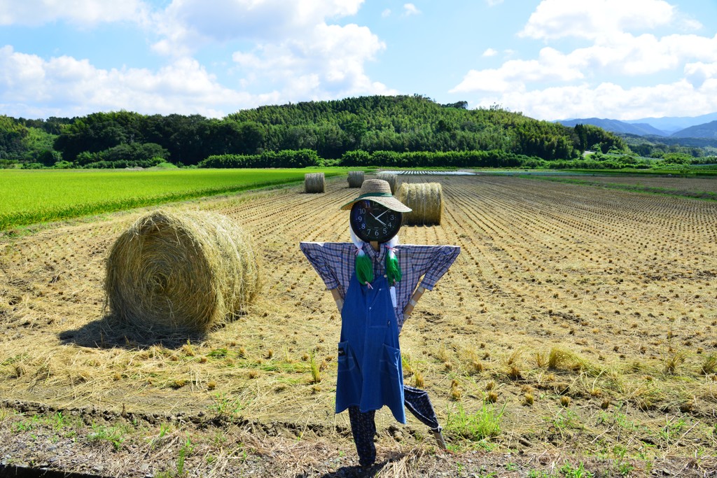 私の仕事も、もう少しね