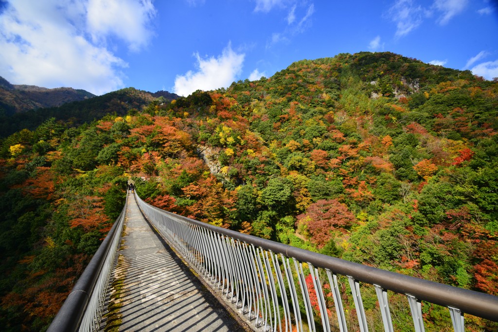 絶叫、吊り橋