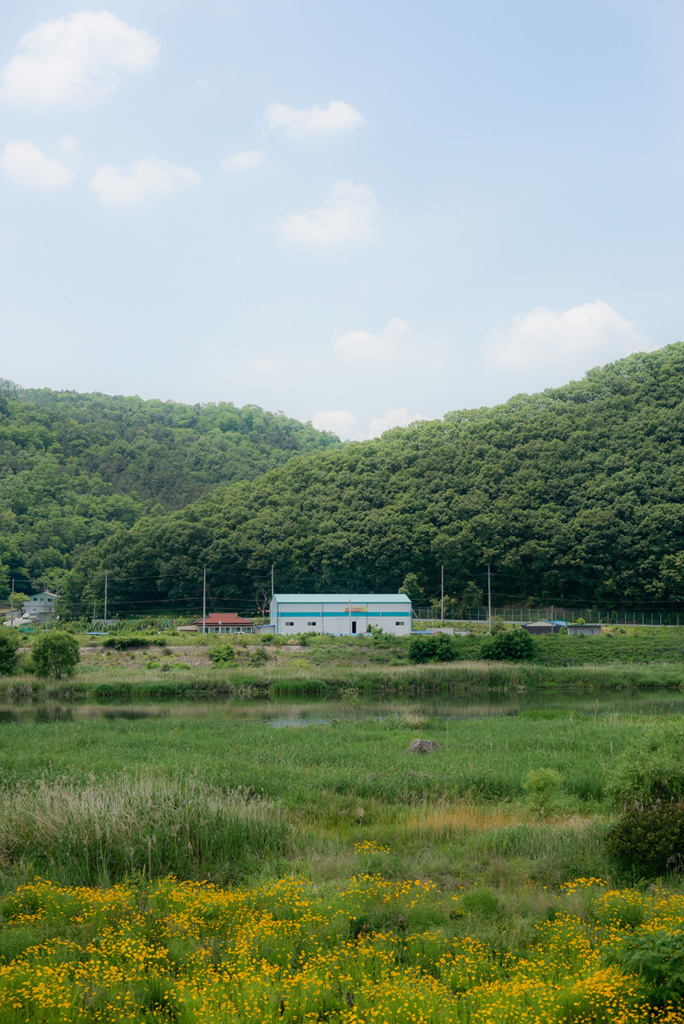 Hometown