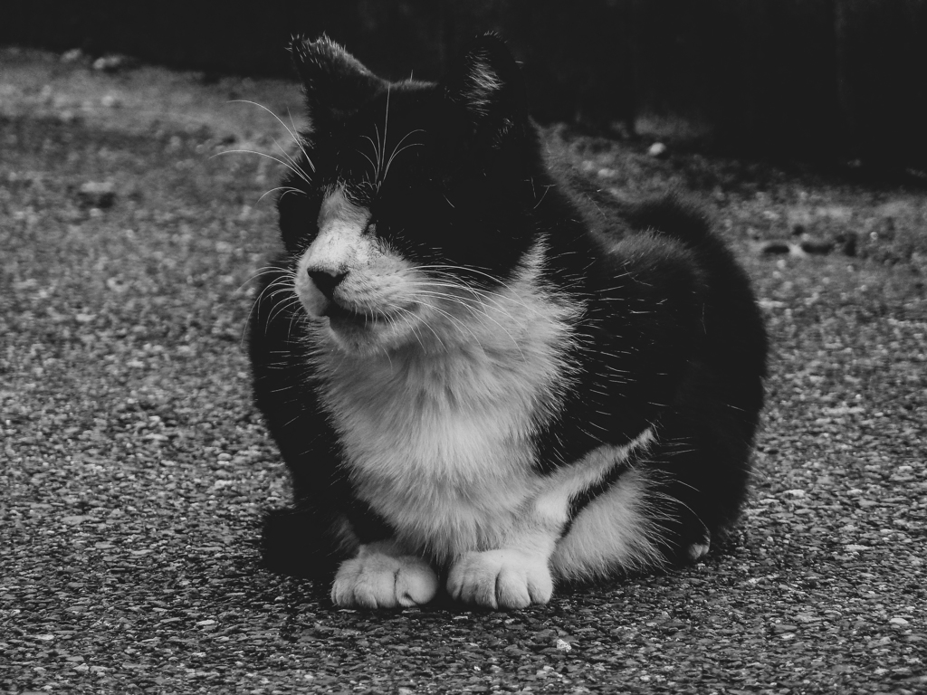P1080604 sitting(1)