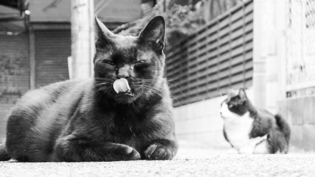 P1080607 sitting(2)