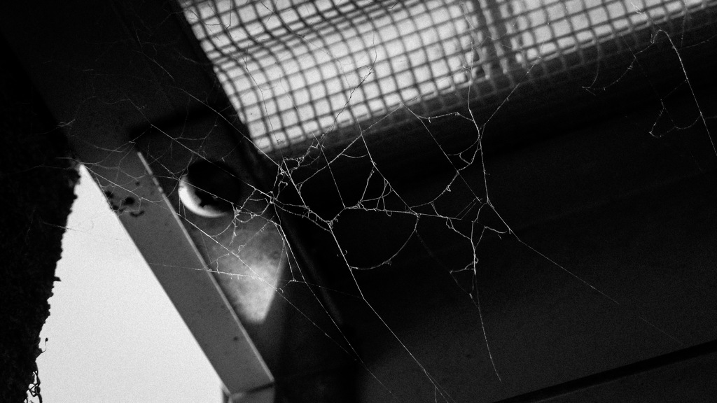 P.0122 untitled