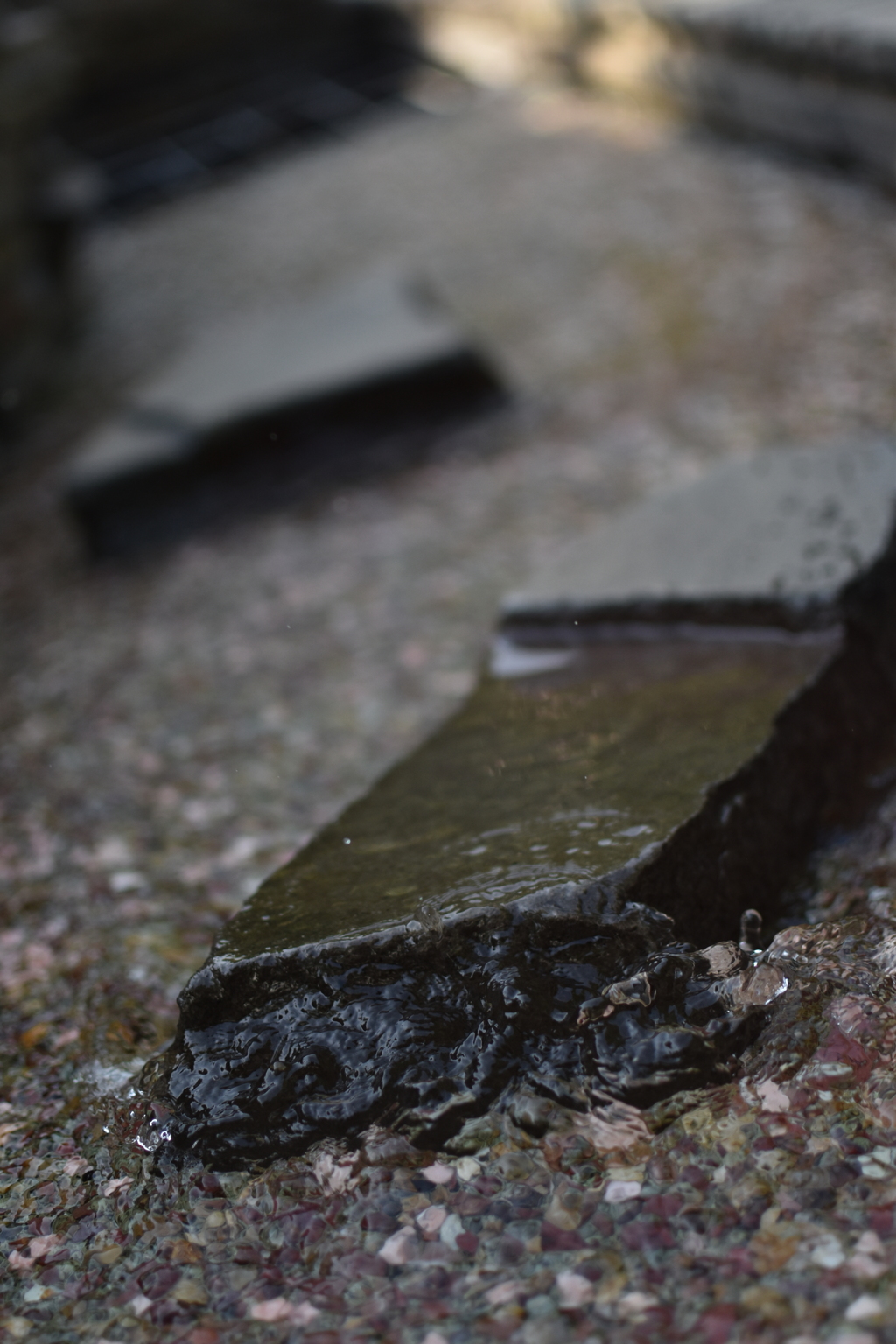道の脇の流水