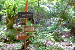看板