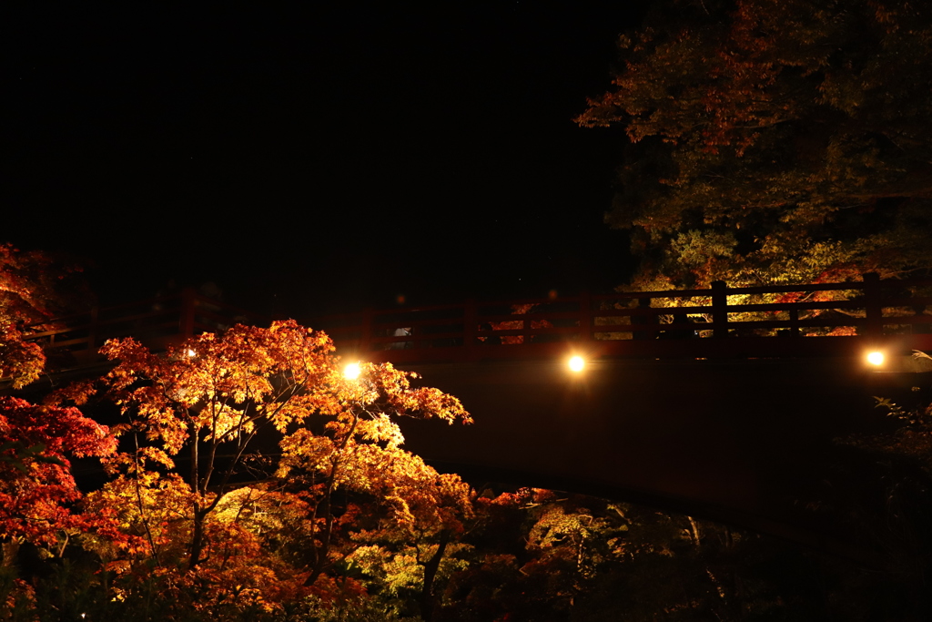 橋下の紅葉