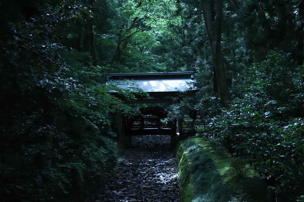 橋の上には。