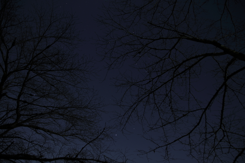2025/01/11_星空_あきる野